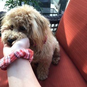 Meet your Posher, Kaitlin